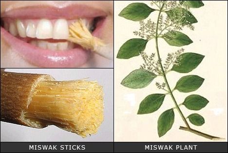 Siwak untuk pemutih gigi Siwak untuk pemutih gigi
