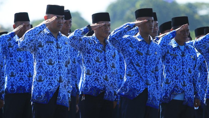 P3K Paruh Waktu, Peluang Karier Baru dengan Gaji Menarik?